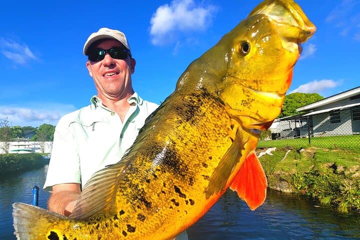 Pompano Beach Fishing Tour, Catch Peacock Bass, Clown Knifefish!