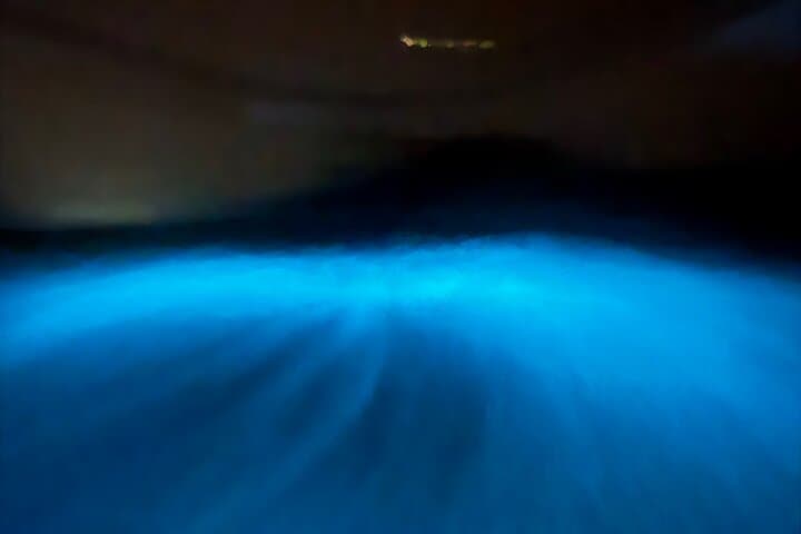 Bio Bay Tour Vieques – Full Clear Canoes Experience