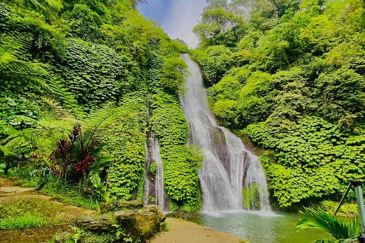 Explore Munduk Customized 8 Hour Day Tour in North Bali 