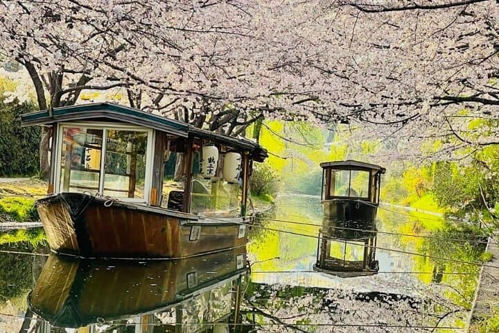 Kyoto highlights tour with English speaking guide and vehicle