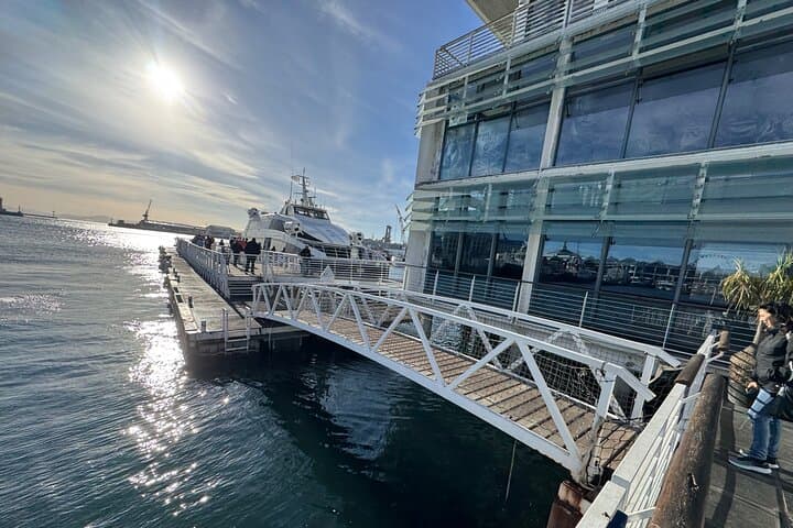 Robben Island Tour from Cape Town: Pre-Booked Ticket & Transfers