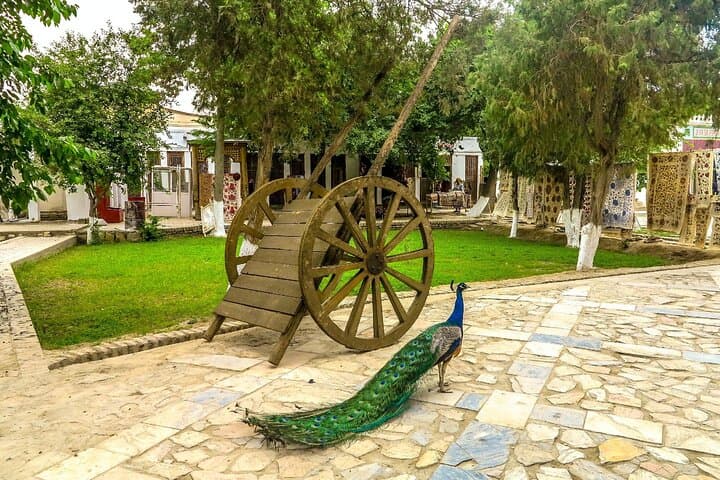 Bukhara Countryside Private Tour with Local Lunch Experience