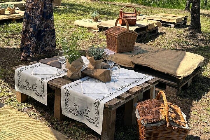 פיקניק בין העצים וזיונן של שמן וטעמים מקומיים