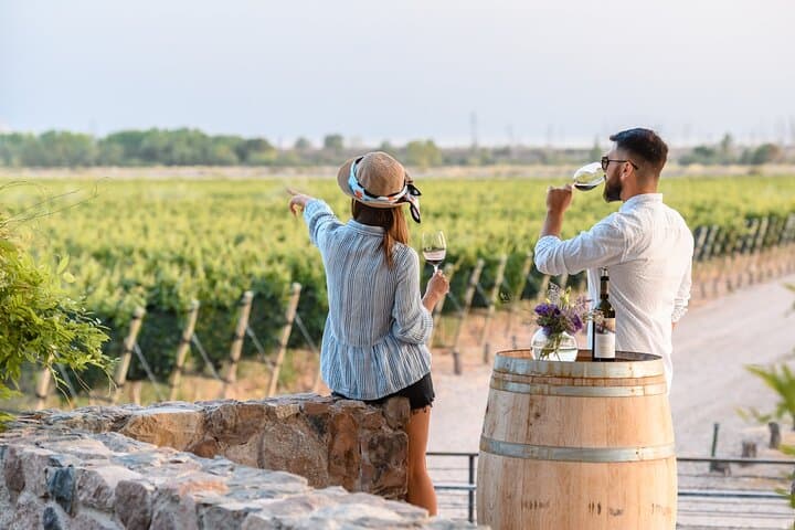סיור וד degustation ב-3 יקבים ועץ זית אחד במאיפו