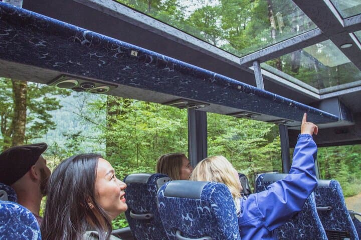 טיול אוטובוס ושייט לסאונד מילפורד מקווינסטאון