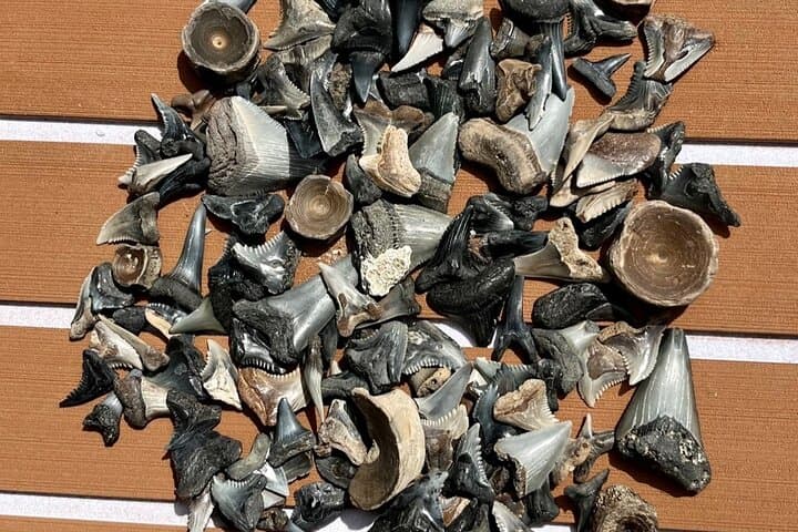 סיור ציד מאובנים באי מחסום