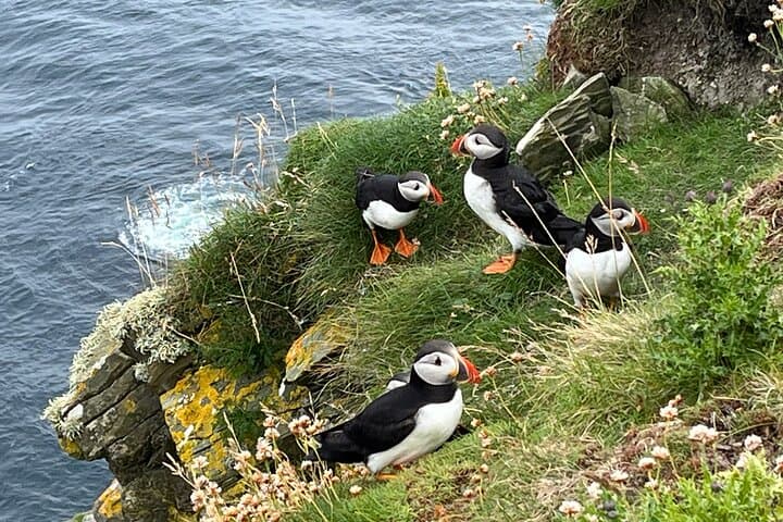 סיור בדרום מיינלנד של שטלנד, אי סנט ניניאן ויארלשוף