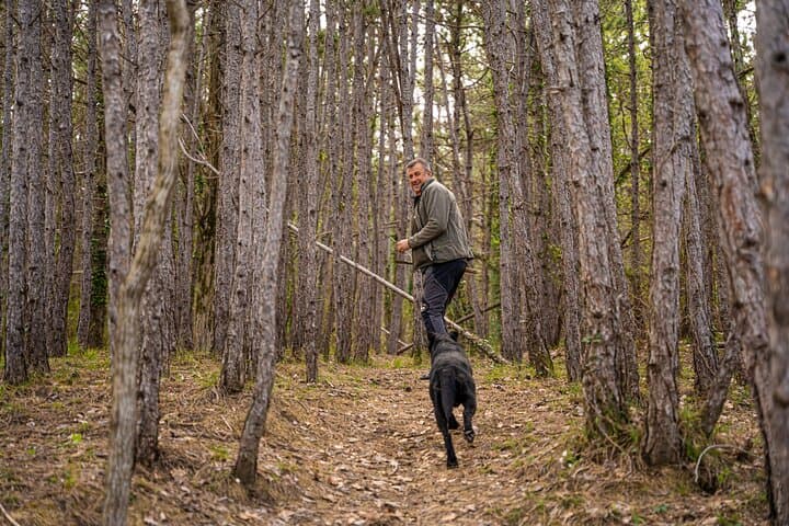ציד פטריות כמהין ובראנץ של שלושה מנות עם כמהין במוטובון