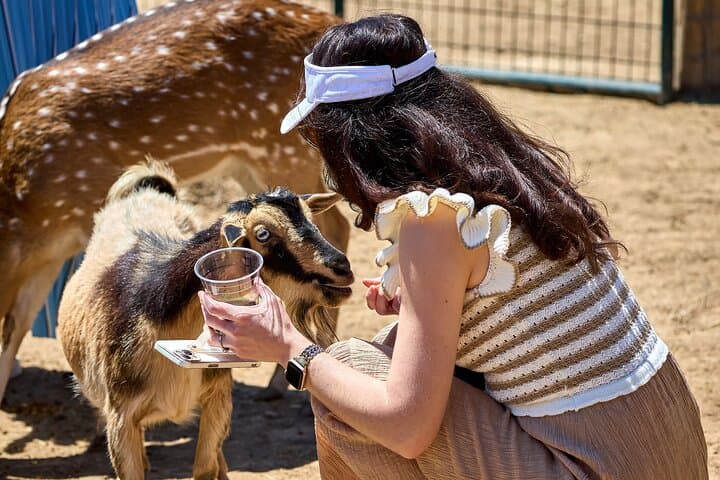 Fredericksburg Safari Tour Without Wine Tasting