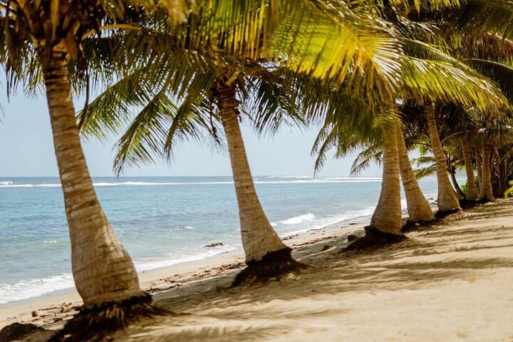 Upolu: Full Day Tour - Beach, Waterfall and Ocean Trench