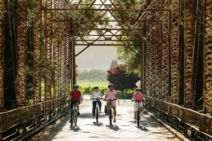 סיור טעימות יין על אופני חשמליים עם מדריך, כולל ארוחת צהריים, בחצי יום