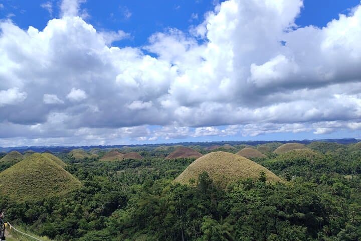 Bohol Countryside Tour to Chocolate Hills and Loboc River
