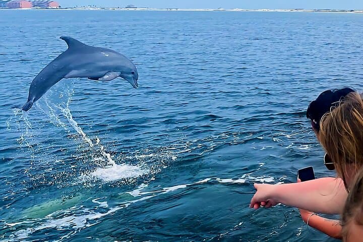 Daily Dolphin Cruise + Sightseeing Tour on Pensacola Beach