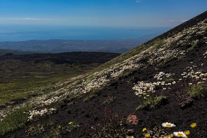 Catania: Morning Jeep Tour of Mount Etna and Lava Flow Caves