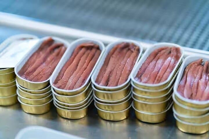 Visit and tasting in the factory of the Best Anchovies Santoña 