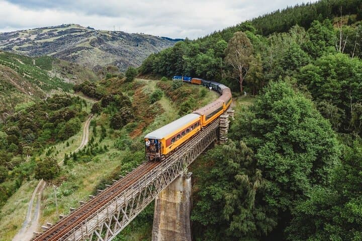 Dunedin Shore Excursion: Taieri Gorge Railway & City Sightseeing 