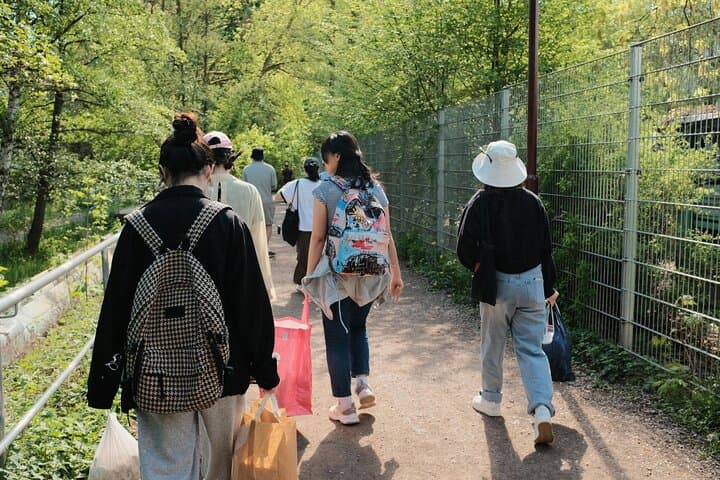  Istanbul Self Guided Walking Tour 