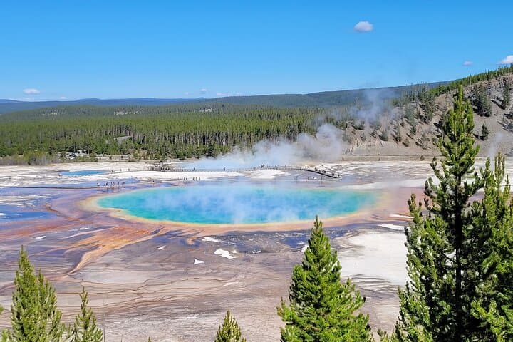 Guided Lower Loop of Yellowstone from Cody, WY