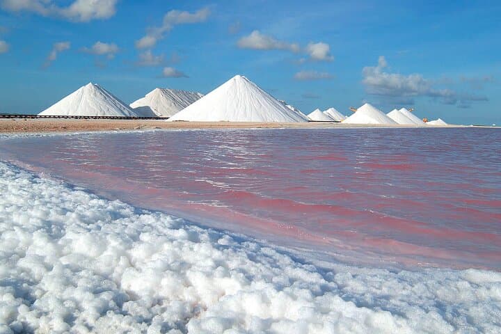סיור מודרך בקבוצות קטנות בצפון ובדרום בונייר עם איסוף