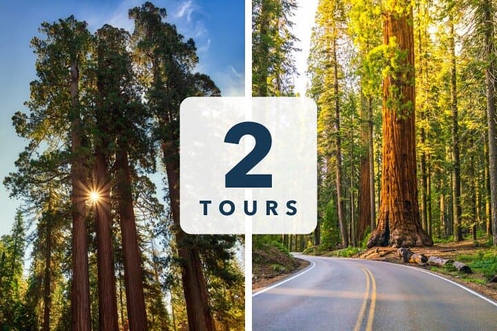 Sequoia and Kings Canyon Audio Tour Self Guide National Park Tour