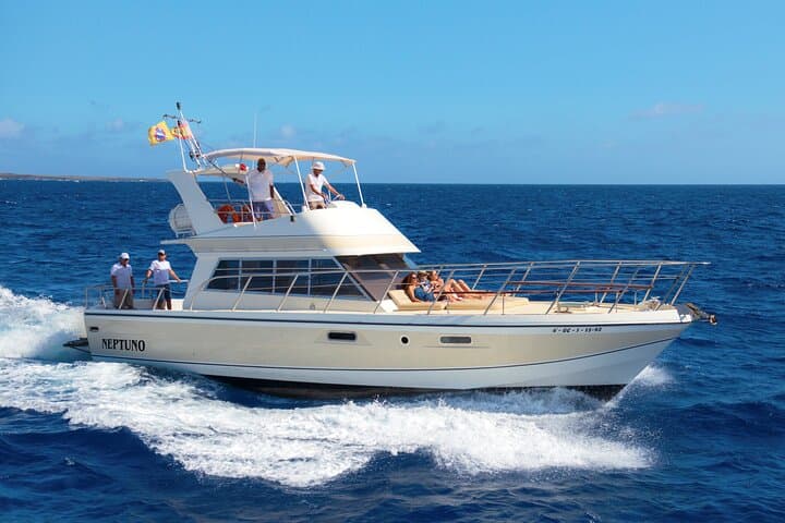 Discover whales in Tenerife: yacht tour with bath and lunch