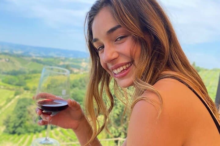 Tuscany Wine Tour: 2 Wineries & Chianti from San Gimignano