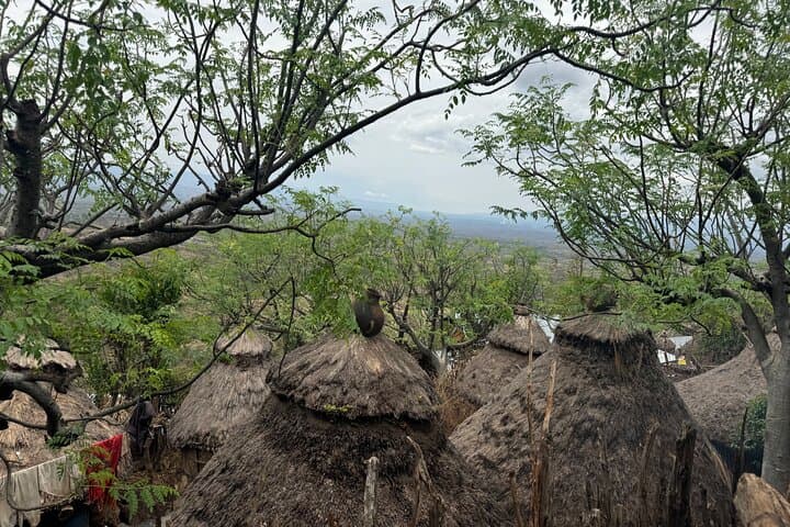 3 Days Arba Minch and Konso Tour: Nature and Culture Adventure