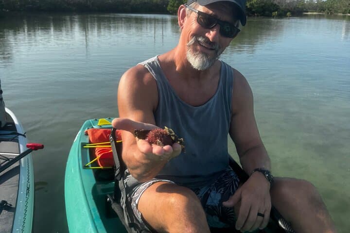 סיור קיאקים אקולוגי בבוןיטה ספרינגס – הציוד הטוב ביותר, קיאקים שקופים ויוקרתיים