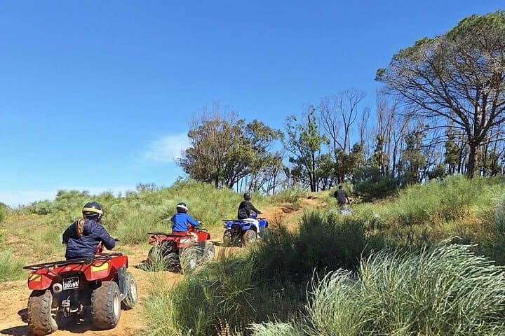 Hammamet quad bike tour in the mountain with tasting of olive oil and bread