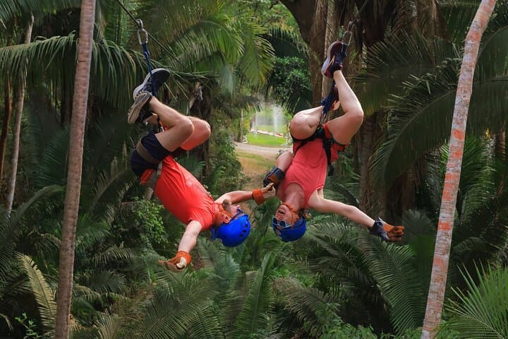 חוויית סיור קנופי בסיוליטה, נוואו נייריט.