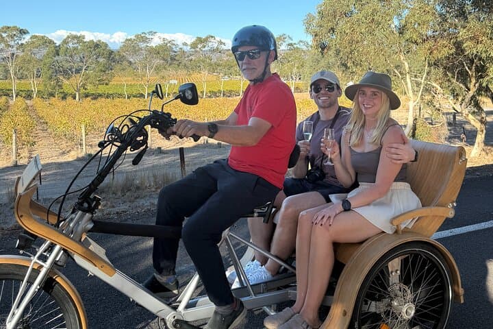 eTukTuk Adventure from Shirvington Wines - McLaren Vale