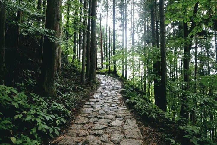Hiking the Historic Nakasendo Trail [1 Day Tour from Nagoya]