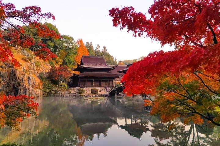 מנאגויה: סיור יום לאיוהוג'י, אנאקיו, מגומה-ג'וקו וצומגו-ג'וקו