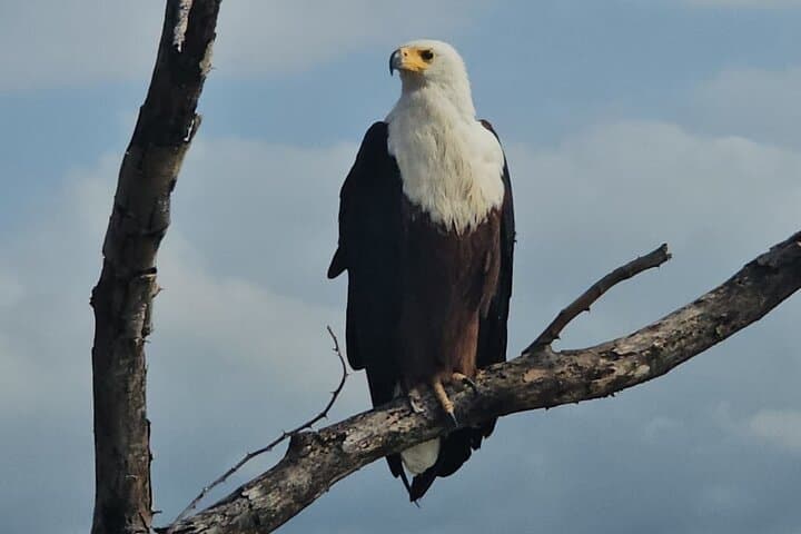 טיולי הרפתקאות של שלושה ימים סביב ארבמין וקונסו לחיים שלמים