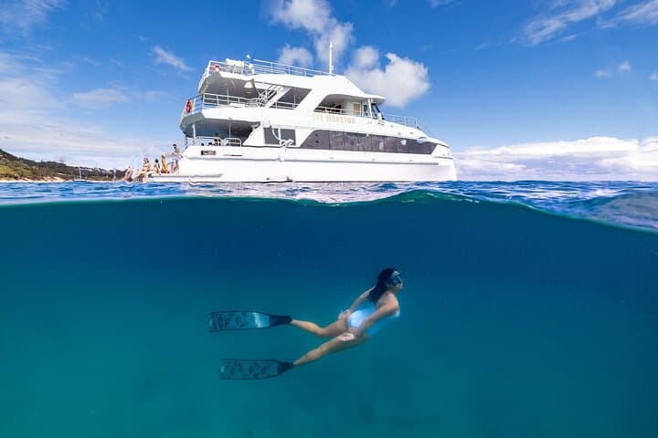 Moreton Island & Tangalooma Wrecks Snorkel Cruise - Brisbane