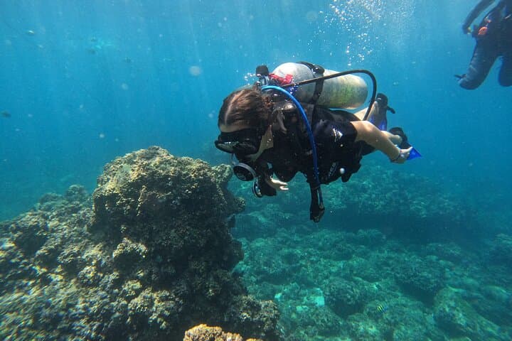 Diving exploration for beginners in Los Arcos de Mismaloya