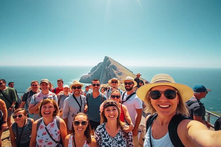 TheMajestic TableMountain Shared Tour,Penguin&Cape Point Full-Day