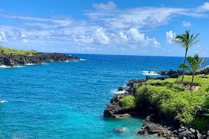 סיור ביער גשם להנא ומהמעבר