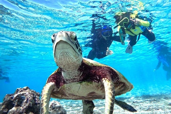 Okinawa Miyako Beach SUP or Canoe and sea turtle Snorkeling