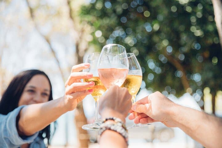 Waiheke Island Wine Tour with Scenic Vineyards & Tastings