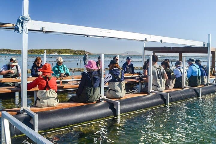 Oyster Farm Tour with Hotel Pick-up and return from Port Lincoln