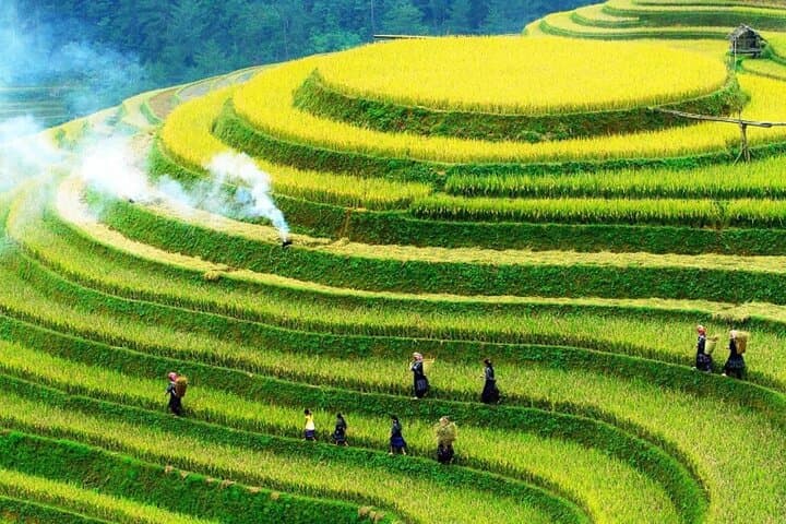 Sapa No-Trek Eco Tour: Muong Hoa Valley & Ta Van, Foot Spa, Cafe