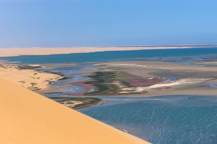 טיול חצי יום בנמל סנדוויץ' נופי