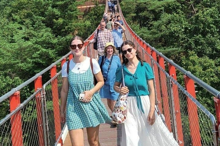 Signature DMZ Tour: Exclusive NK Defector Talk +Suspension Bridge