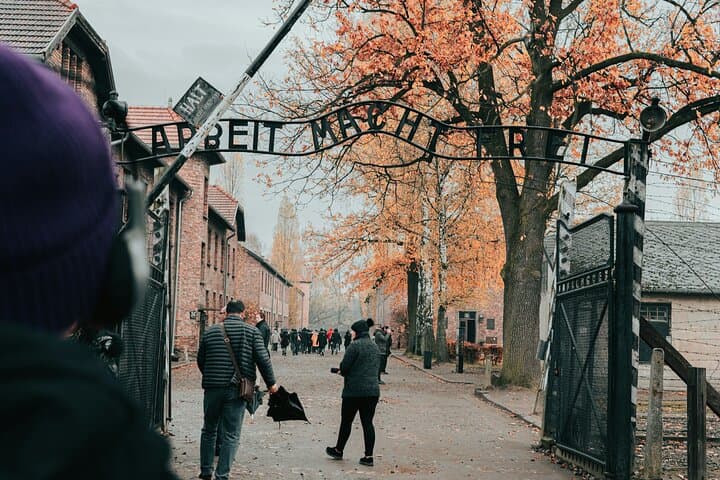 Auschwitz-Birkenau Memorial and Museum Guided Tour from Krakow
