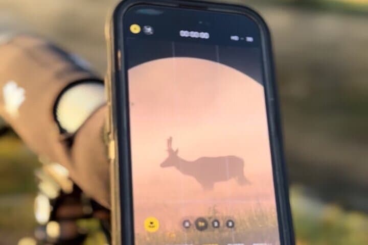 Big Sky Winter Wildlife Safari Lamar Valley Breakfast and Lunch