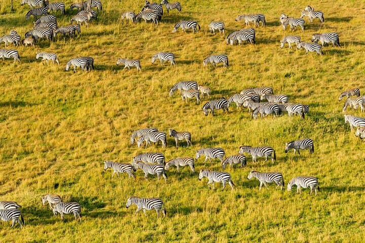 5-Day Spirit of Tanzania Safari