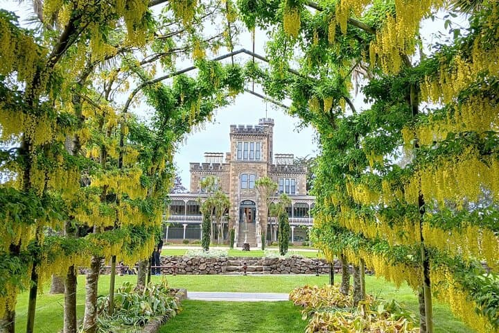 סיור חופי: העיר דאנידין, חצי האי אוטגו, גני הטירה וטיול אולווינסטון.