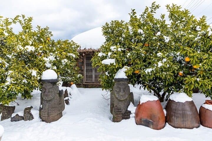 סיור יומי באתרי אונסק"ו במזרח ג'ג'ו עם מופע האנייה