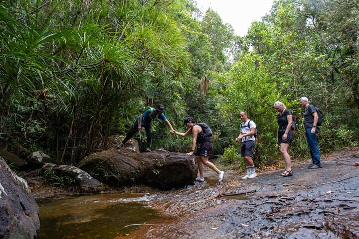 הליכה רגלית טיין סון דינח פו קווק